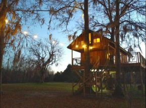 Timber Retreat